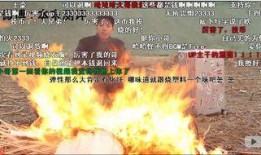 网红爆料小哥视频播放,揭秘热门事件幕后真相