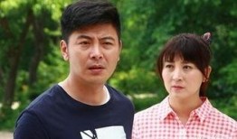 电视剧刘家媳妇,风雨飘摇中的家国情怀