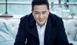 张嘉译演的电视剧,电视剧作品回顾