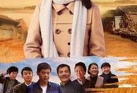 初婚电视剧全集,情感纠葛与时代变迁的交织