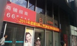 新闻栏目爆料有用吗现在,揭秘信息价值与实用性的双重魅力