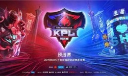 力哥爆料火牛视频大全,力哥独家爆料带你领略热门短视频魅力