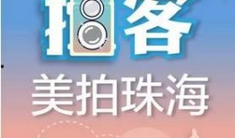 珠海百姓新闻爆料电话,倾听民声，守护城市脉搏