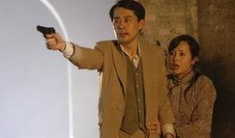 玉卿嫂电视剧,情感纠葛与命运抉择的悲歌