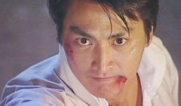 何家劲电视剧,侠骨柔情，英雄本色