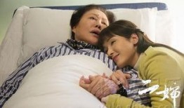 二婶电视剧演员表,实力派演员阵容演绎温情故事
