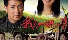 电视剧下,穿越时空的爱恋——一段跨越千年的浪漫传奇