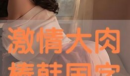 韩国激情视频爆料,揭秘娱乐圈不为人知的秘密
