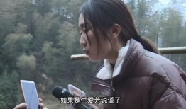 网友爆料采访视频大全最新,最新采访视频大全精彩瞬间大盘点