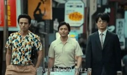 马赛克日本电视剧全集,揭秘隐藏在光影背后的故事