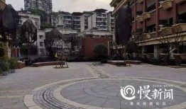 重庆沙坪坝最新爆料,揭秘城市变迁中的热点事件