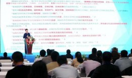 力哥爆料火牛视频大全,力哥独家爆料带你领略热门短视频魅力