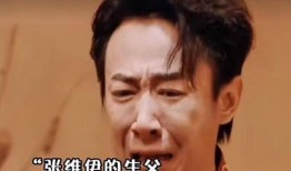 张维伊演过的电视剧,从欢乐颂到隐秘的角落的多面演绎