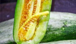 网红瓜吃的,流量密码还是炒作手段？