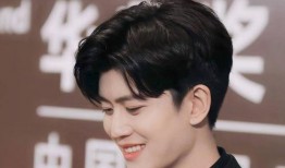 任嘉伦的电视剧,古装传奇与都市情感交织的精彩演绎