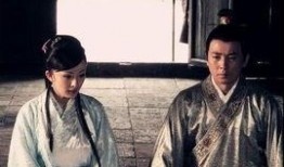 《洪武大案》电视剧,揭秘明朝开国皇帝的权力斗争与神秘谜团