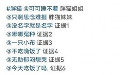 胖猫最新爆料新闻,最新爆料新闻背后的真相与内幕