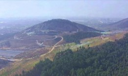 来个在线观看的,揭秘热门在线观看平台背后的精彩故事