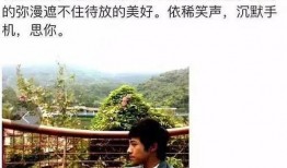 圈内爆料杨m,揭秘娱乐圈不为人知的幕后故事