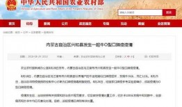 今日内蒙古爆料消息新闻,揭秘神秘事件背后的真相