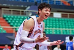 王哲林爆料郭艾伦视频,一场篮球兄弟间的深情互动