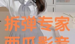 拆弹专家西瓜影音在线观看