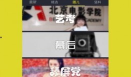 成功爆料视频素材下载,教你轻松获取热门视频资源