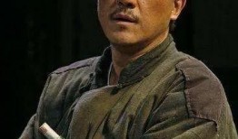 何冰主演的电视剧大全,演技派实力派，经典作品盘点