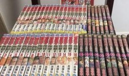 极恶王漫画,黑暗世界的逆袭与救赎