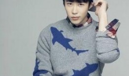 冉旭电视剧,传奇人生，光影交织的岁月篇章