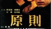 电视剧原则,揭秘影视制作背后的艺术与技巧