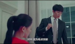 夫妻关系爆料视频大全集,揭秘婚姻背后的真实故事
