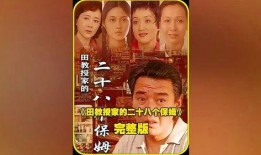 田教授家的28个保姆电视剧,揭秘豪门背后的家政风云