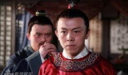 《洪武大案》电视剧,揭秘明朝开国皇帝的权力斗争与神秘谜团