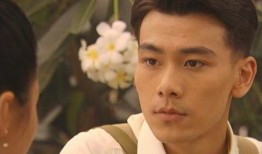 戴向宇主演电视剧大全,戴向宇影视生涯精彩剧作集锦