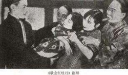 歌女红牡丹在线观看,歌坛传奇，在线重温经典旋律