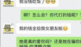 胖猫最新爆料新闻,最新爆料新闻背后的真相与内幕