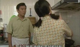 田教授家的28个保姆电视剧,揭秘豪门背后的家政风云