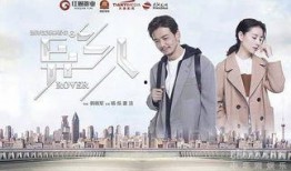 异乡人电视剧,漂泊人生中的情感与奋斗