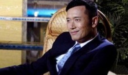 苗侨伟电视剧,演绎时代变迁下的英雄传奇