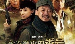 电视剧永不磨灭的番号,永不磨灭的番号传奇