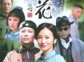 古董电视剧,穿越时空的传奇收藏