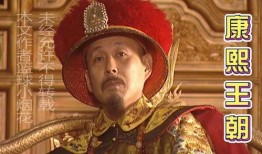康熙王朝电视剧,权谋与情仇的宫廷风云