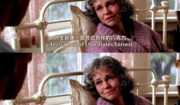 在线观看阿甘正传,一段跨越时代的传奇人生