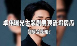 男星塌房爆料事件视频大全,揭秘明星隐私风暴