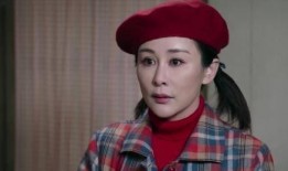 我哥我嫂电视剧,我哥我嫂的婚姻漩涡