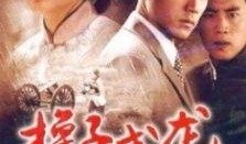 换子成龙电视剧演员表,实力派明星齐聚演绎感人故事