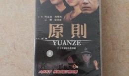 电视剧原则,揭秘影视制作背后的艺术与技巧