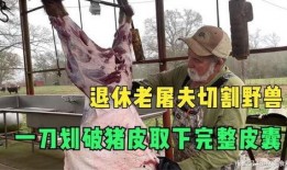 屠夫完整观看在线观看,在线观影全记录