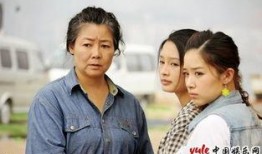 守望电视剧,英雄集结，守护家园的传奇征程